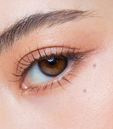 Olens ViVi Ring 1 Day Choco Lenses